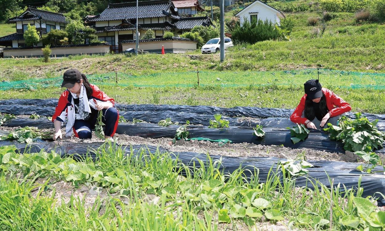 農村体験（2年）